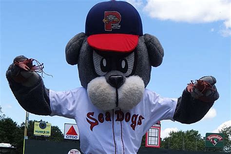 Portland sea dogs - Portland Sea Dogs placed RHP Sterling Sharp on the 7-day injured list retroactive to June 15, 2023. June 1, 2023: Portland Sea Dogs activated RHP Sterling Sharp from the 7-day injured list.